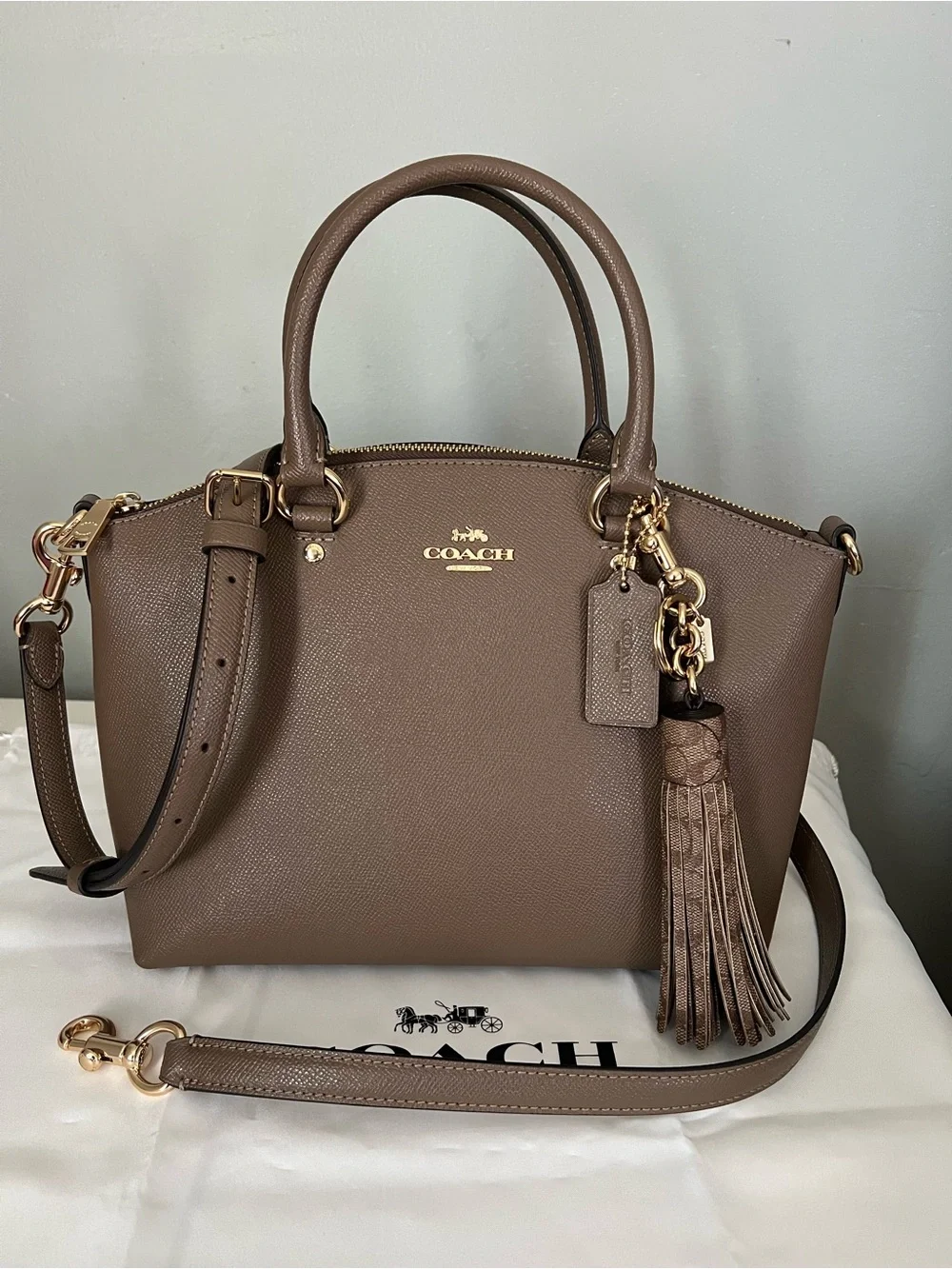 Coach Sadie Satchel Bag